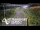 Webcam in North Shore, 1.5 km