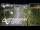 Webcam in North Shore, 3.5 km entfernt