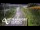 Webcam in North Shore, 10.4 km