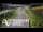 Webcam in North Shore, 5.3 km entfernt
