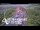 Webcam in North Shore, 5.3 km entfernt