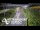 Webcam in North Shore, 5.3 km entfernt