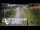 Webcam in North Shore, 1.5 km entfernt