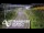 Webcam in North Shore, 2.9 mi away