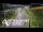 Webcam in North Shore, 10.4 km