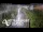 Webcam in North Shore, 0.6 mi away