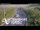 Webcam in North Shore, 2.9 mi away