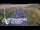 Webcam in North Shore, 3.5 km
