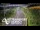 Webcam in North Shore, 0.6 mi away