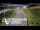 Webcam in North Shore, 5.3 km