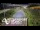Webcam in North Shore, 5.3 km