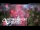 Webcam in North Shore, 1.6 km entfernt