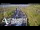 Webcam in North Shore, 1.5 km entfernt