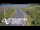 Webcam in North Shore, 0.6 mi away