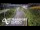 Webcam in North Shore, 0.6 mi away