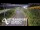Webcam in North Shore, 3.5 km