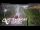 Webcam in North Shore, 3.5 km