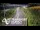 Webcam in North Shore, 0.6 mi away