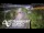 Webcam in North Shore, 0.6 mi away