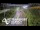 Webcam in North Shore, 5.3 km entfernt