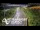 Webcam in North Shore, 0.6 mi away