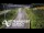 Webcam in North Shore, 5.3 km entfernt