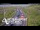 Webcam in North Shore, 0.6 mi away
