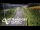 Webcam in North Shore, 0.6 mi away