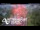Webcam in North Shore, 6.9 km entfernt