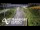 Webcam in North Shore, 0.6 mi away