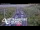Webcam in North Shore, 5.3 km entfernt