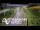 Webcam in North Shore, 0.6 mi away