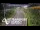 Webcam in North Shore, 2.1 mi away