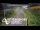 Webcam in North Shore, 416.1 mi away