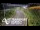 Webcam in North Shore, 5.3 km