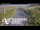 Webcam in North Shore, 0.6 mi away
