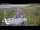 Webcam in North Shore, 7.8 km entfernt