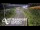 Webcam in North Shore, 5.3 km entfernt