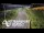 Webcam in North Shore, 5.3 km entfernt