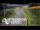 Webcam in North Shore, 10.4 km entfernt