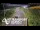 Webcam in North Shore, 1.6 km