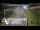Webcam in North Shore, 1078.4 km