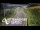 Webcam in North Shore, 0.6 mi away