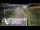 Webcam in North Shore, 3.5 km