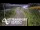 Webcam in North Shore, 0.6 mi away