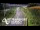 Webcam in North Shore, 0.6 mi away