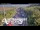 Webcam in North Shore, 10.4 km entfernt