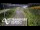 Webcam in North Shore, 7.3 km
