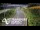 Webcam in North Shore, 1.6 km entfernt