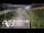 Webcam in North Shore, 5.3 km entfernt
